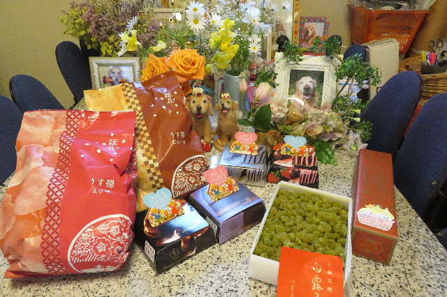 ファイル 6503-5.jpg