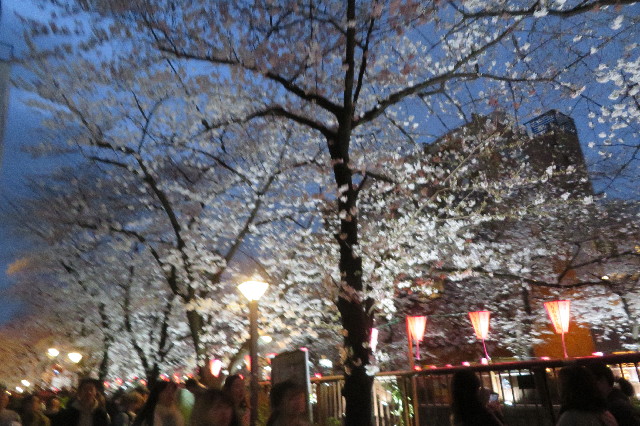 ファイル 6504-3.jpg