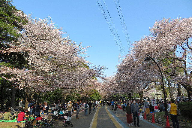 ファイル 6508-2.jpg