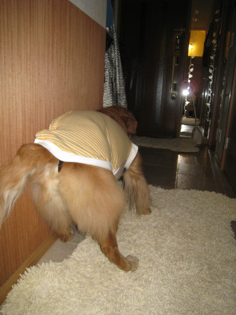 ファイル 651-1.jpg