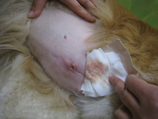 ファイル 651-2.jpg