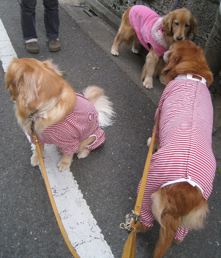 ファイル 651-3.jpg