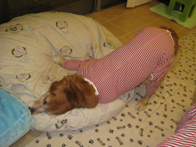 ファイル 651-4.jpg