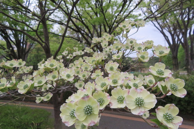 ファイル 6511-2.jpg