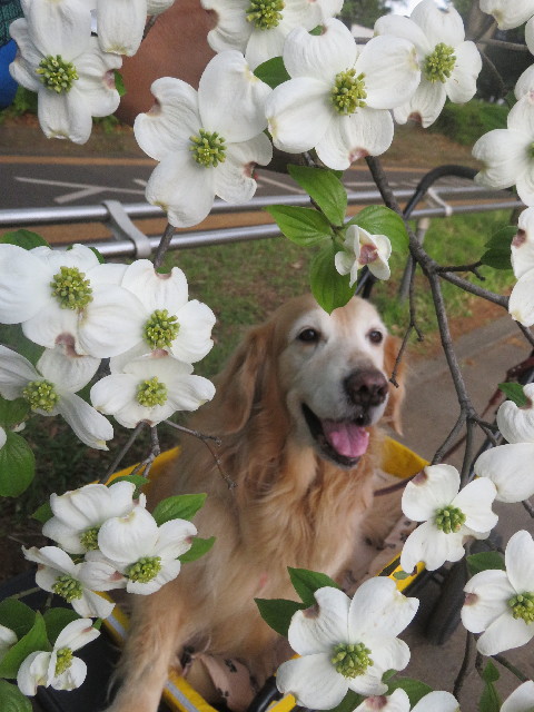 ファイル 6511-3.jpg