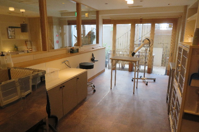 ファイル 6516-2.jpg