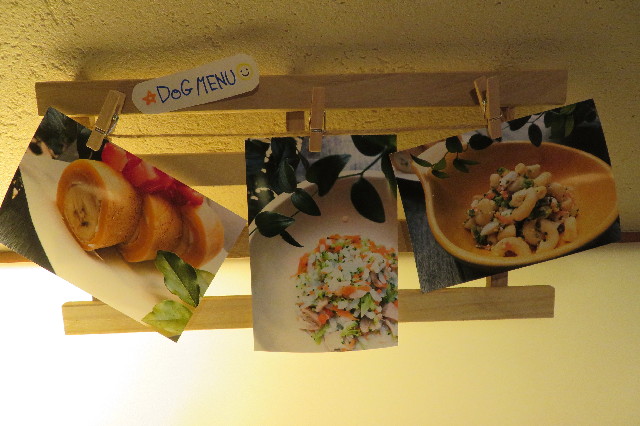 ファイル 6516-5.jpg