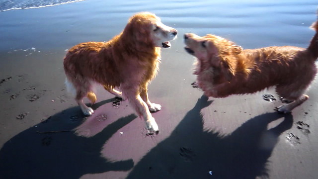 ファイル 6518-2.jpg