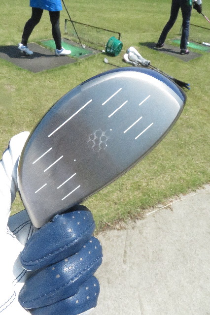 ファイル 6519-1.jpg