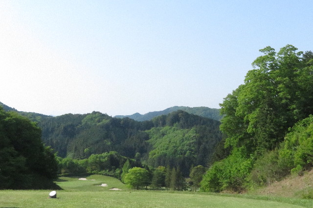 ファイル 6519-2.jpg