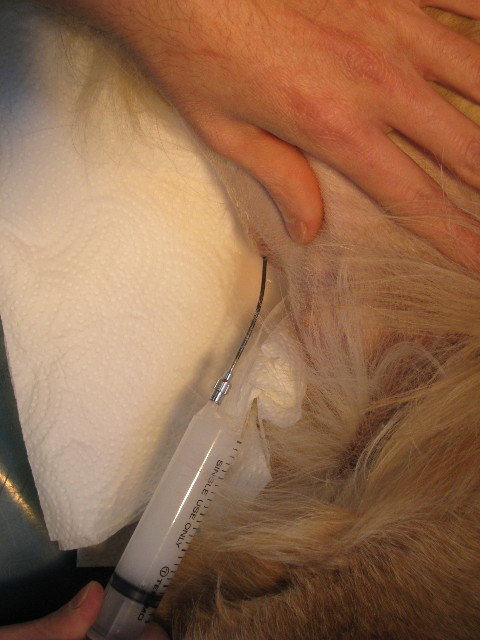 ファイル 652-1.jpg