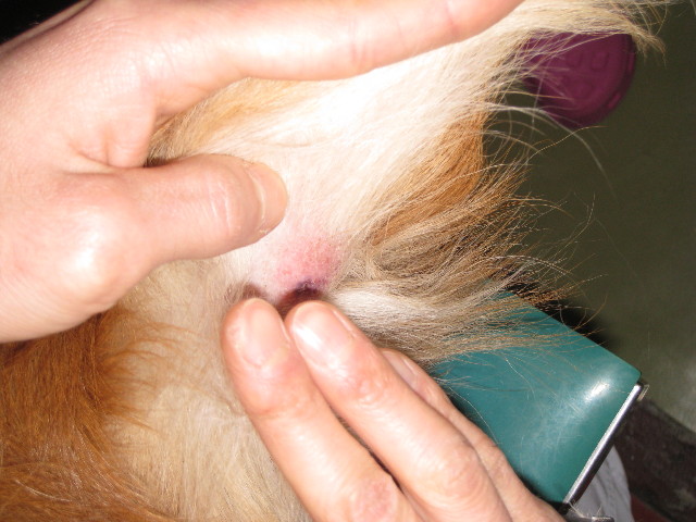 ファイル 652-2.jpg