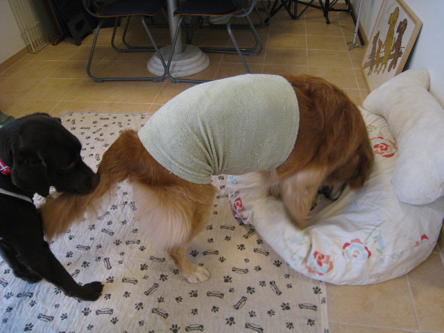 ファイル 652-3.jpg