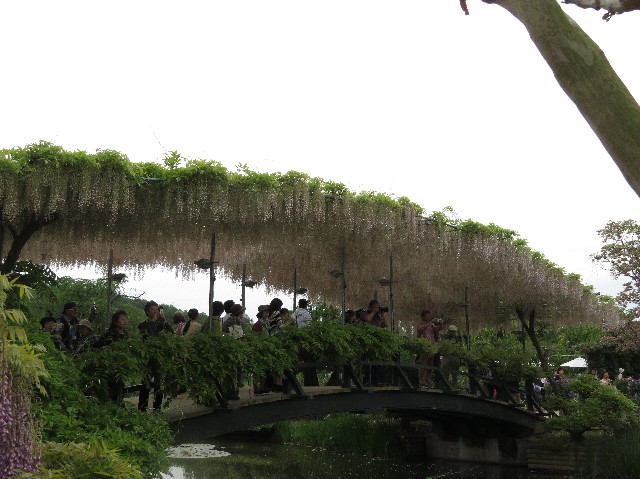 ファイル 6520-5.jpg