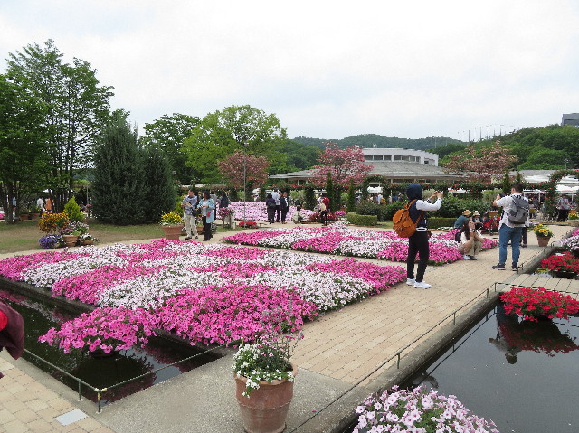 ファイル 6521-1.jpg