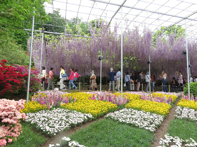 ファイル 6521-2.jpg