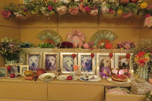 ファイル 6522-2.jpg