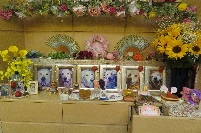 ファイル 6522-4.jpg