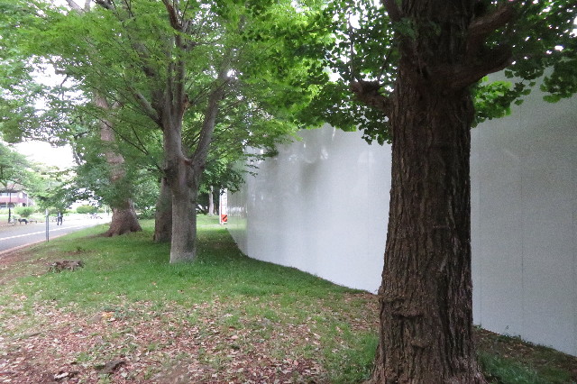 ファイル 6523-2.jpg