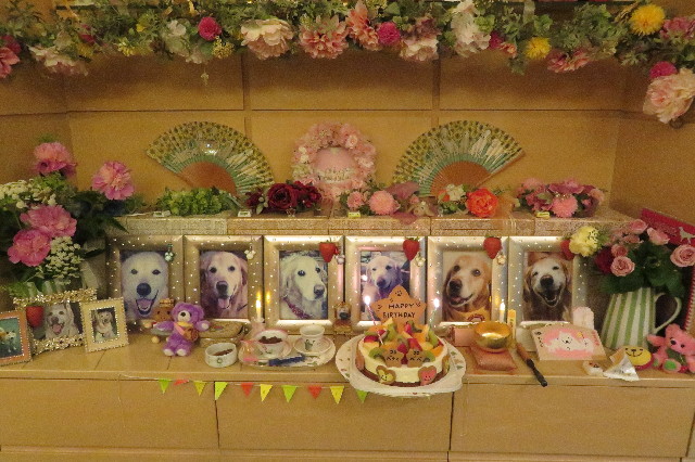 ファイル 6527-3.jpg