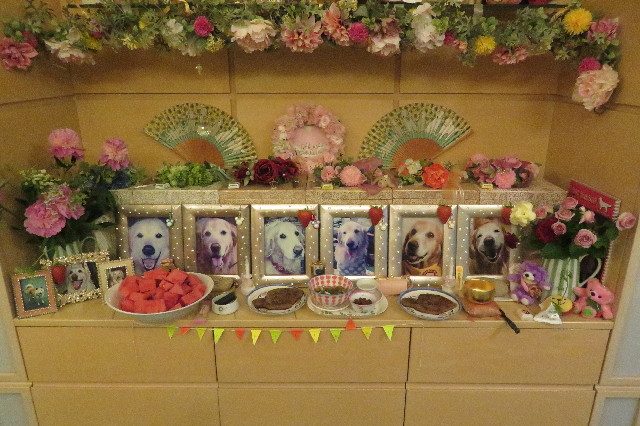 ファイル 6527-4.jpg