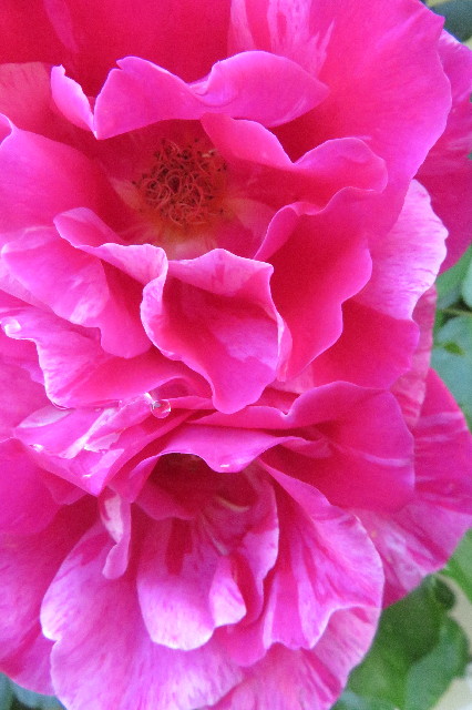 ファイル 6527-5.jpg