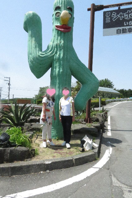 ファイル 6528-5.jpg