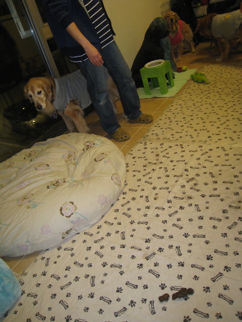 ファイル 653-2.jpg