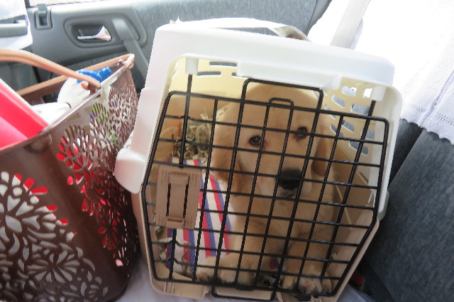 ファイル 6537-3.jpg