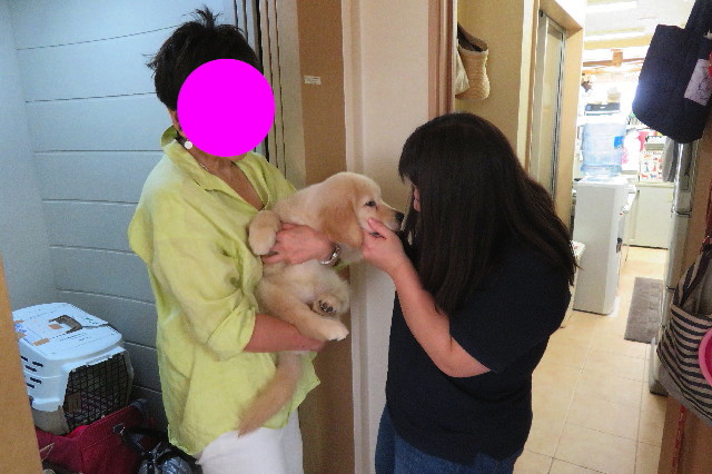 ファイル 6538-1.jpg