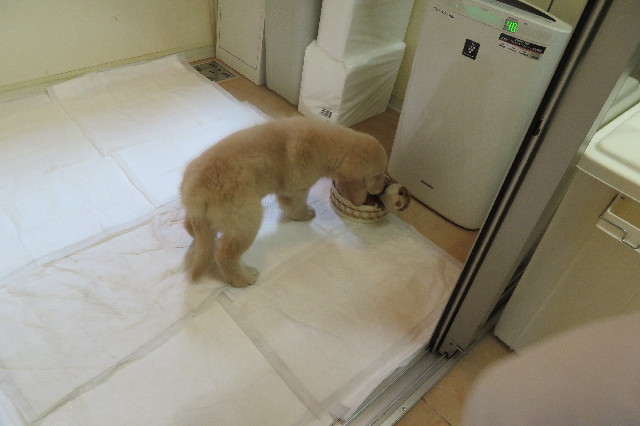 ファイル 6538-2.jpg