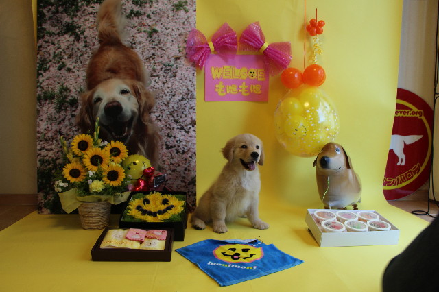 ファイル 6538-4.jpg