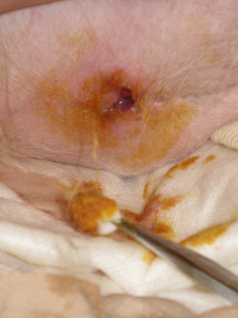 ファイル 654-2.jpg