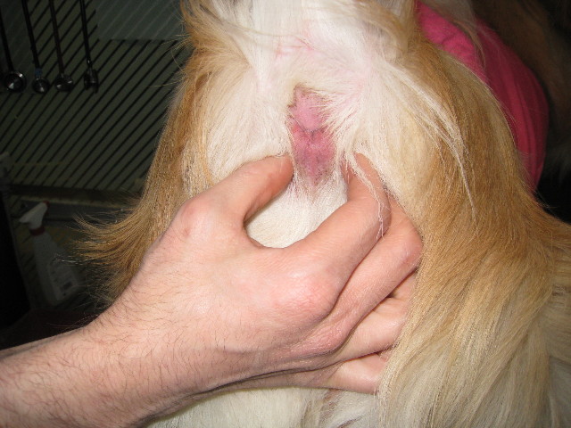 ファイル 654-4.jpg