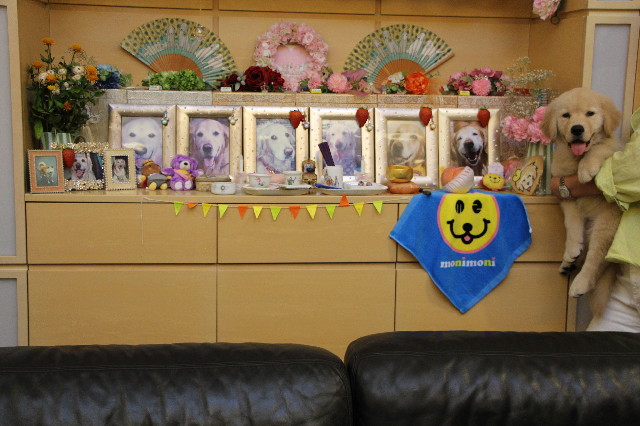 ファイル 6540-1.jpg