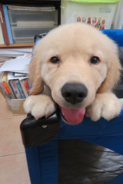 ファイル 6540-4.jpg