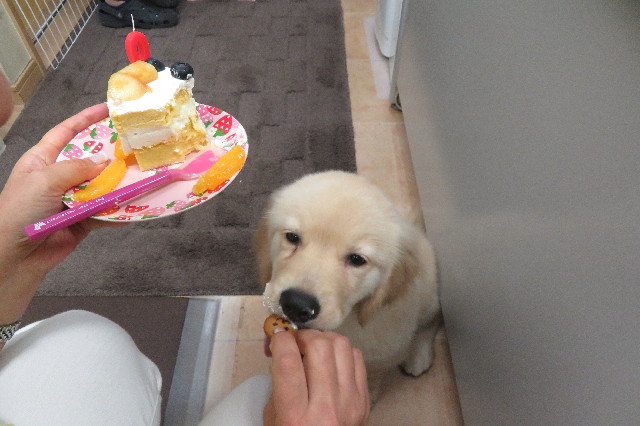 ファイル 6541-1.jpg