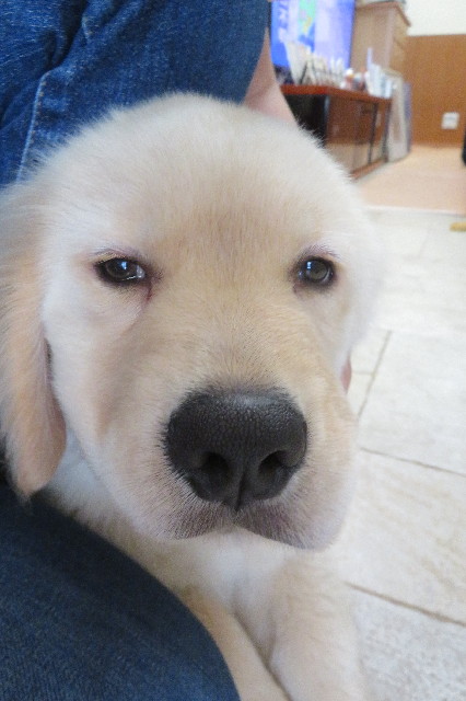 ファイル 6541-4.jpg