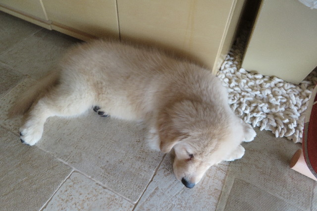 ファイル 6541-5.jpg