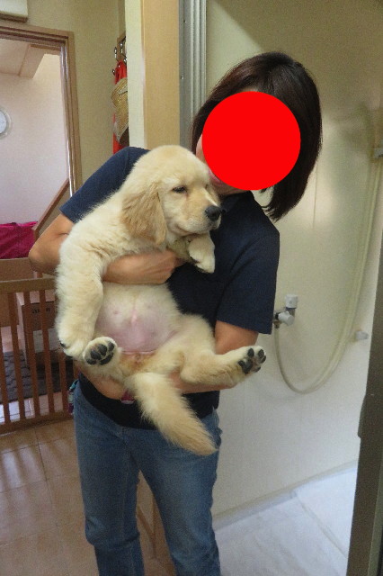 ファイル 6542-1.jpg