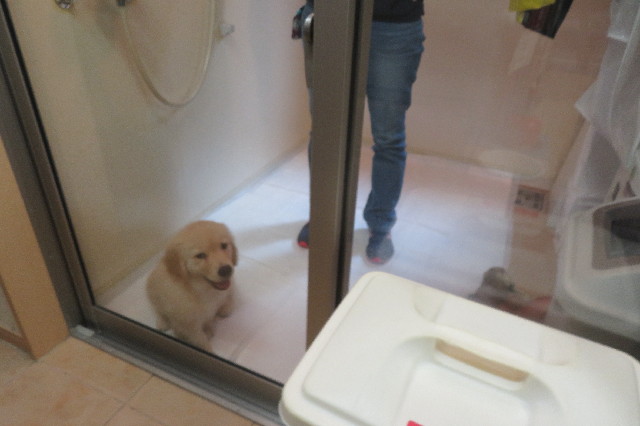 ファイル 6542-2.jpg