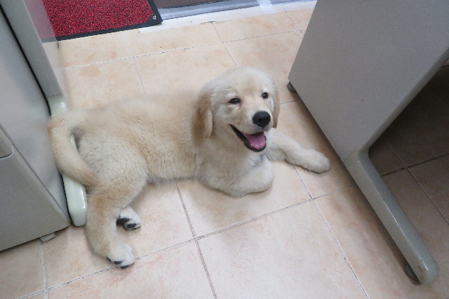 ファイル 6542-3.jpg