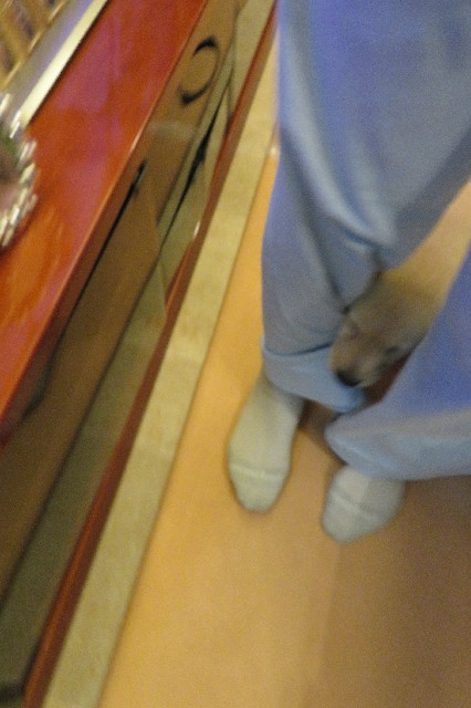 ファイル 6543-1.jpg