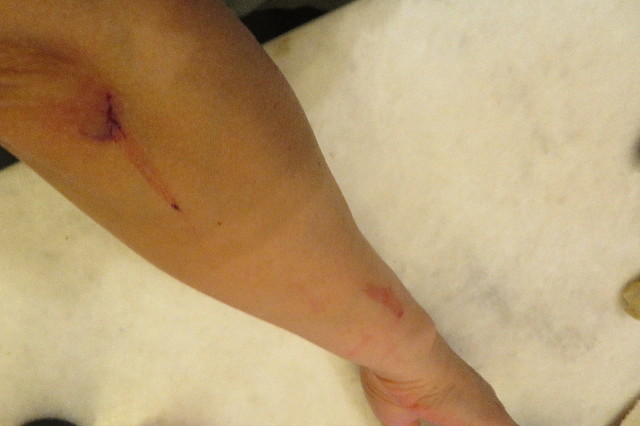 ファイル 6543-3.jpg