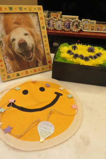 ファイル 6544-5.jpg