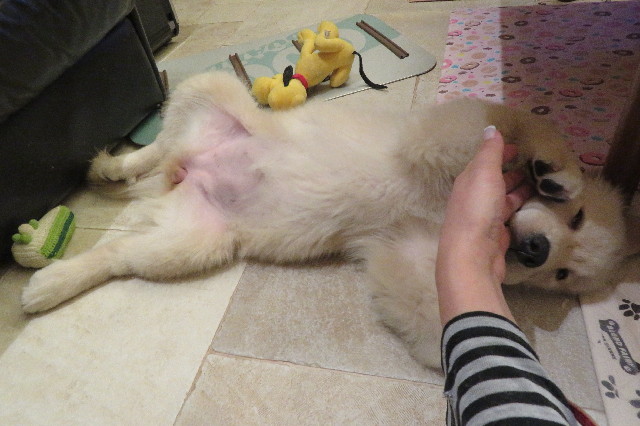 ファイル 6546-4.jpg