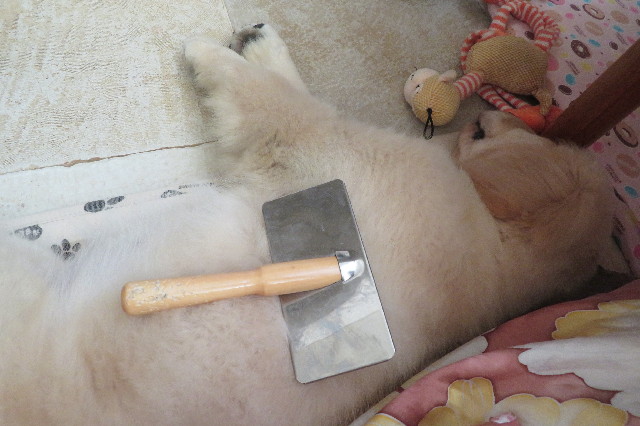 ファイル 6547-3.jpg