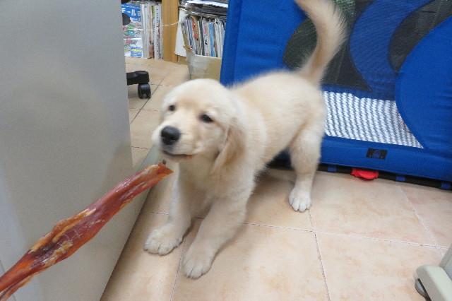 ファイル 6547-5.jpg