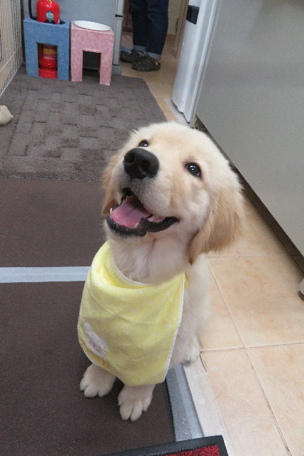 ファイル 6548-3.jpg