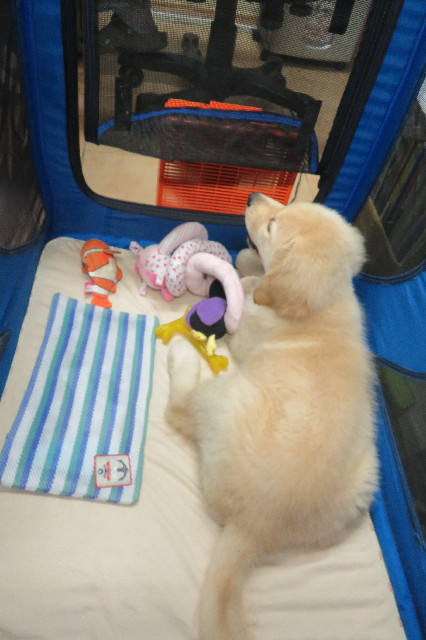 ファイル 6548-4.jpg